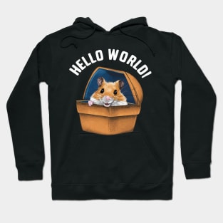 Hellow World Hoodie